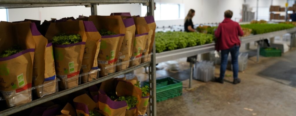 Bioplants mejora sus KPIs de ESG y productividad con Markem-Imaje